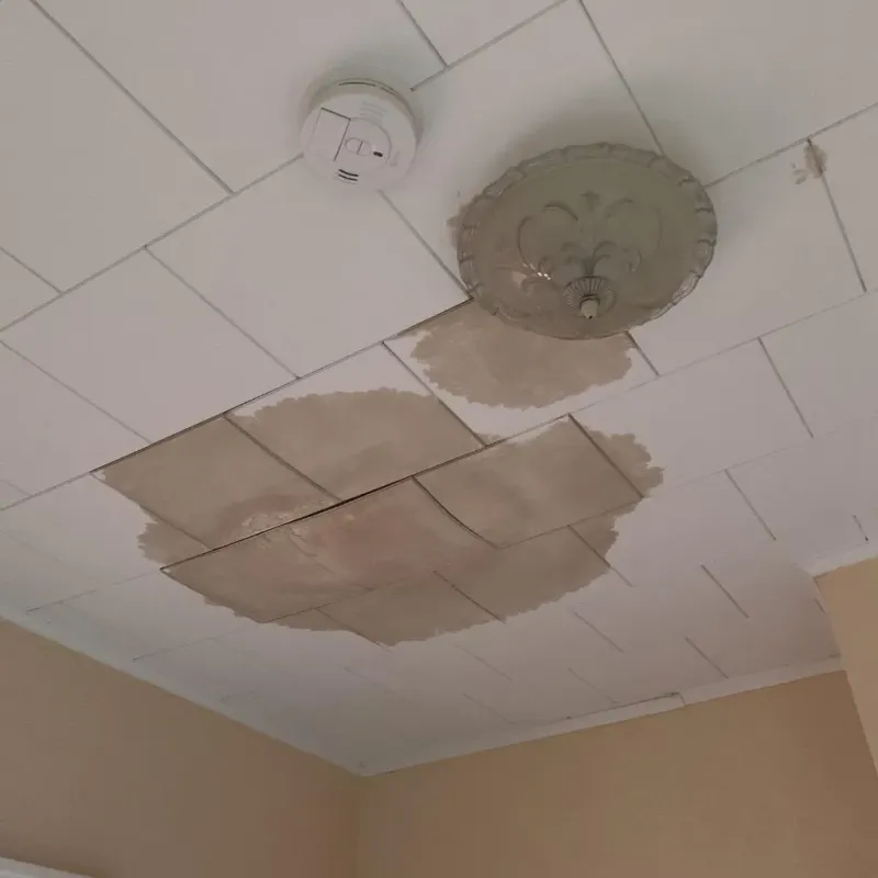 Ceiling Water Damage Repair in Eau Claire County, WI
