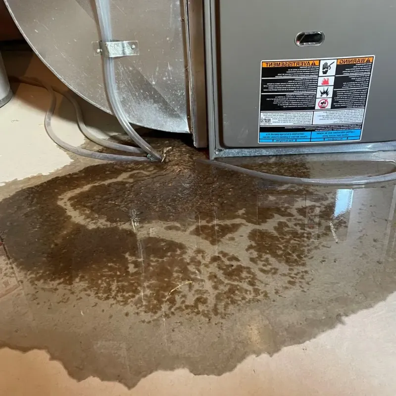 Pipe Burst and Leak Restoration in Eau Claire County, WI