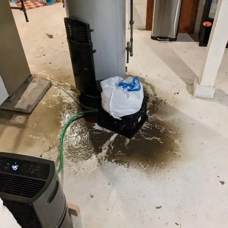 Sewage Backup Cleanup Service in Eau Claire County, WI